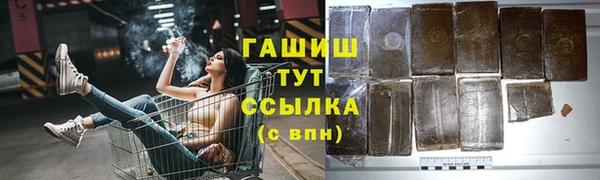 мдпв Бородино