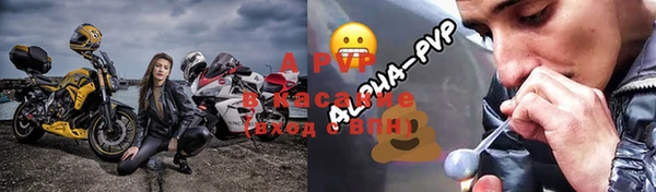 мдпв Бородино