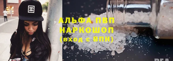 мдпв Бородино