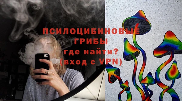 мдпв Бородино