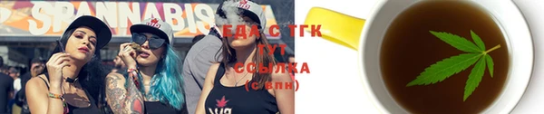 мдпв Бородино