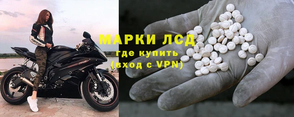 мдпв Бородино