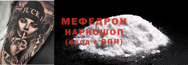 мдпв Бородино