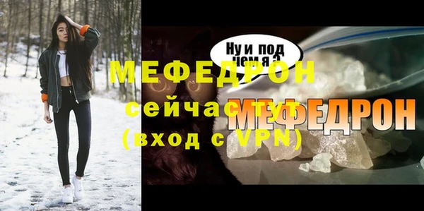 мдпв Бородино