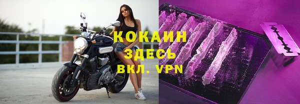 мдпв Бородино