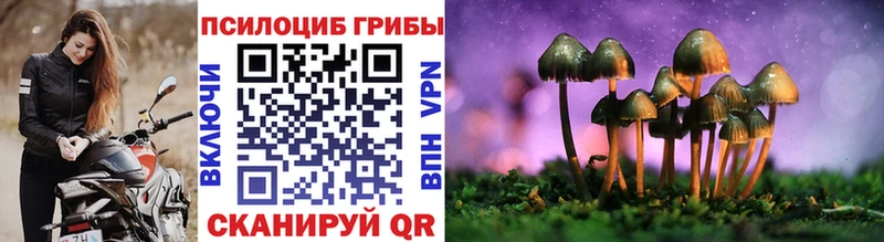 Псилоцибиновые грибы ЛСД  где купить наркотик  блэк спрут tor  Подольск 